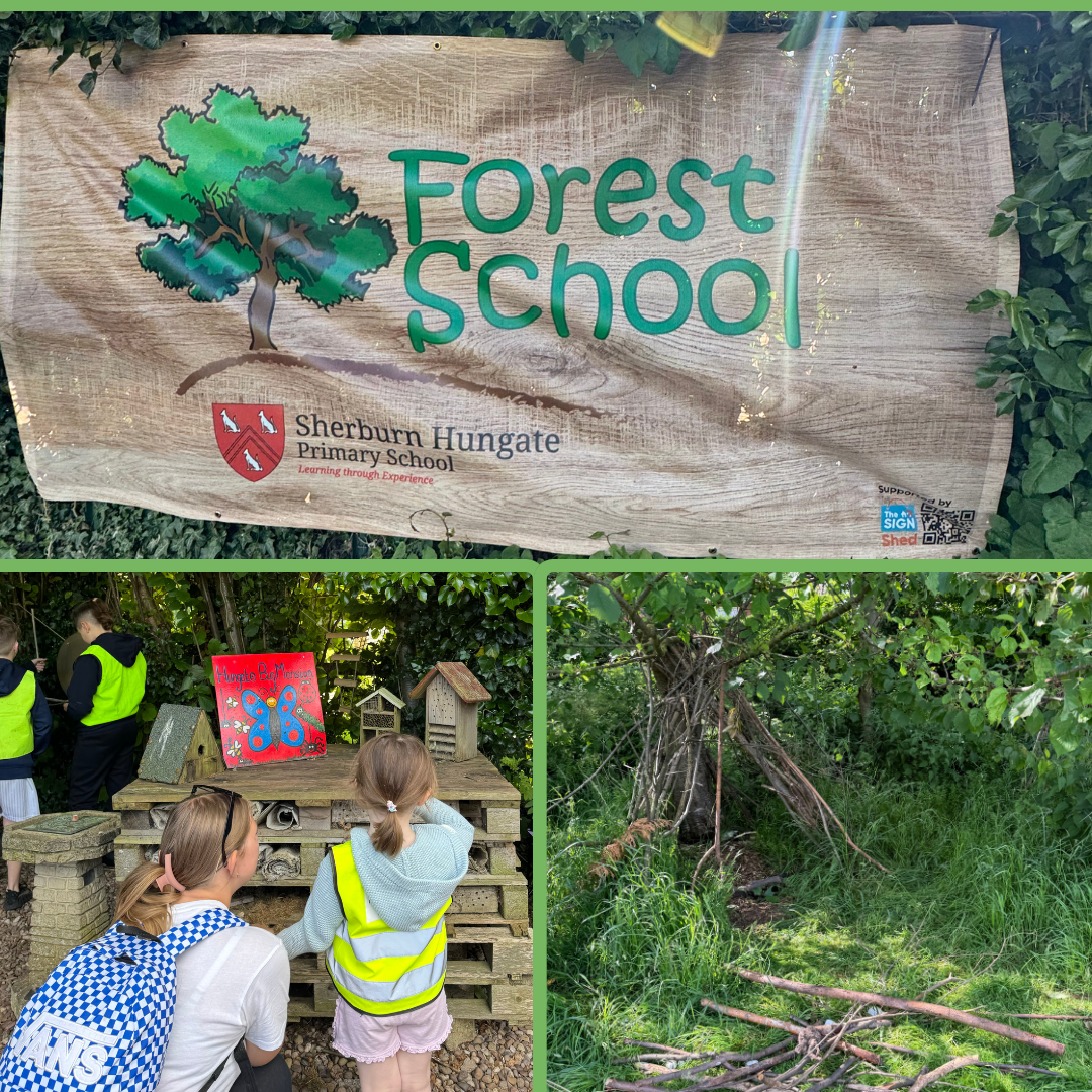 Wastecare Environmental Trust’s First Forest School Launch